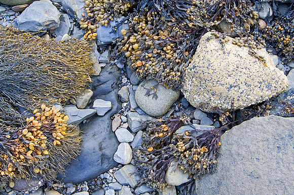 textures & colors 5