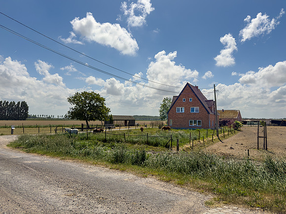 Farm near Waterland-Oudeman IMG_6588