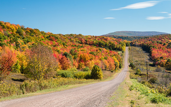Skyline Drive, Andes, NY