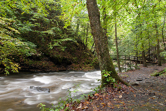 on the gorge trail at Fillmore Glen State Park