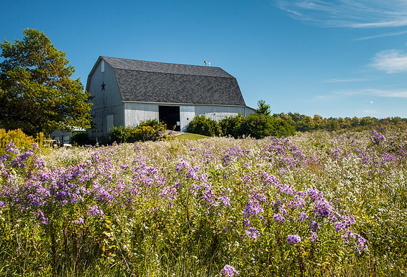 barn in Wayne County