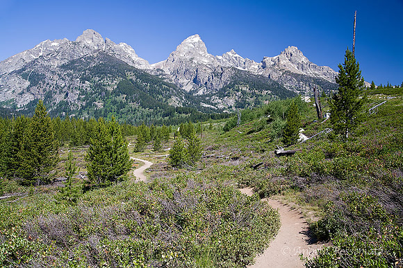 "The mountains are calling and I must go." John Muir