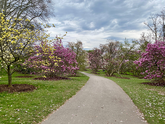 Highland Park, Rochester