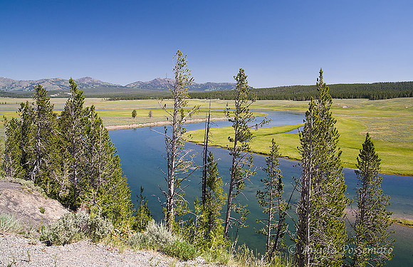 Hayden Valley