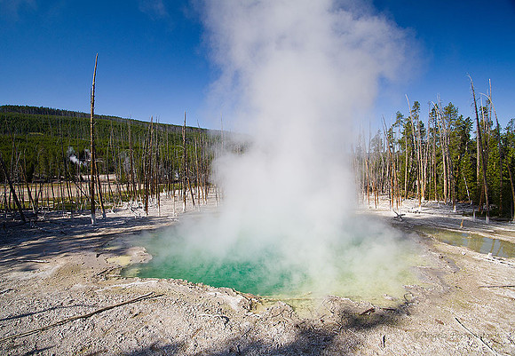 Norris Geyser Basin, Yellowstone N.P.