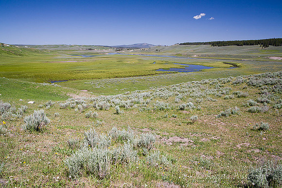 Hayden Valley