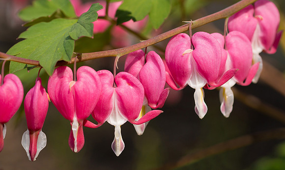 I lOVE spring!