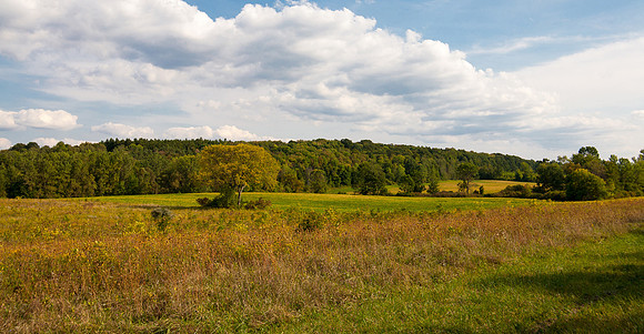 somewhere near Chimney Bluffs