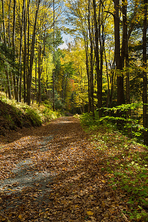 near Somerset Lake, Hancock