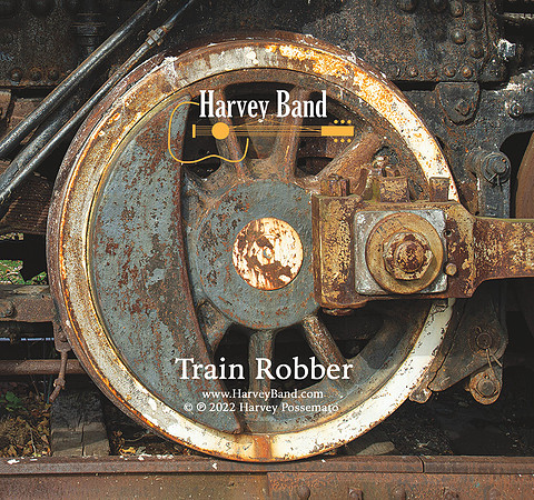 Train Robber disc image