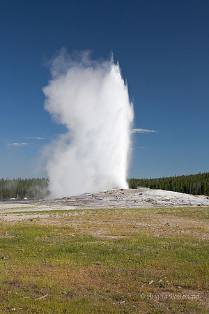 Old Faithful - right on time!  Temperature 199°, Interval 30-120 minutes. Duration 1.5-5 minutes. Height 110-185 feet.