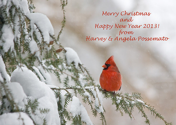 from our nest to yours!