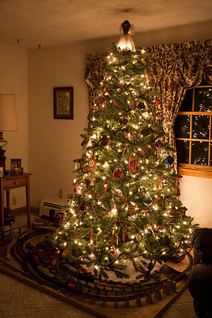 Our Christmas Tree - 2012