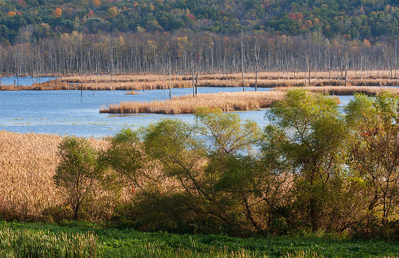 Conesus Lake Inlet