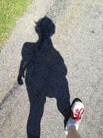 out for a walk on a sunny afternoon