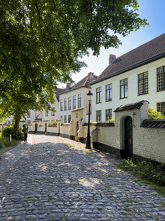 Begijnhof Bruges   IMG_6671