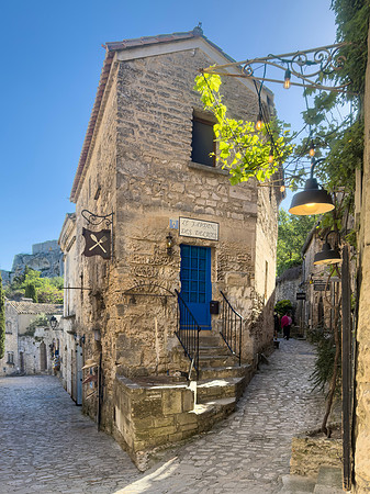 IMG_8931 le jardin des delices