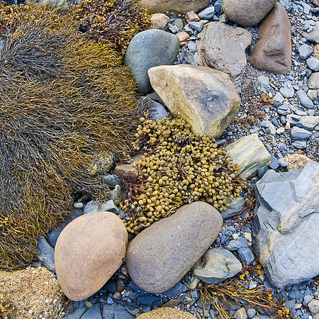 textures & colors of the sea