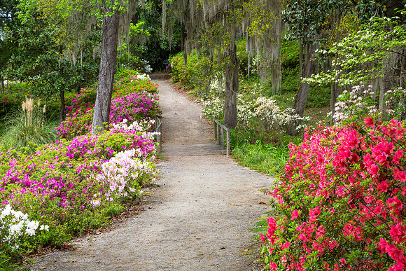 Middleton Place is a National Historic Landmark and home to America’s Oldest Landscaped Gardens.