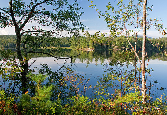 Adirondack Morning - Lake Durant