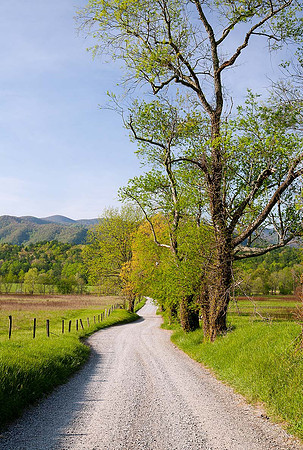 Sparks Lane in Cades Cove