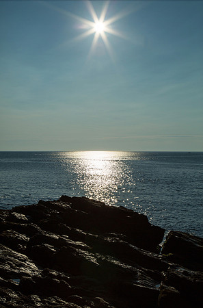 Morning star