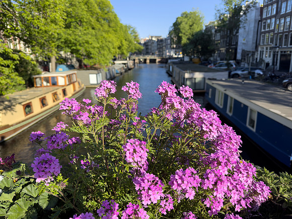 Amsterdam IMG_6337