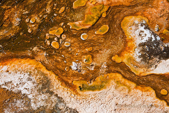 natural patterns 3