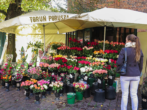 Flower seller in Toruń