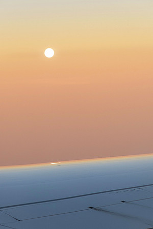 dawn's early light 2