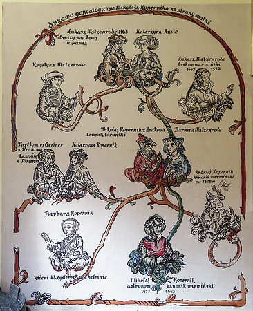 Copernicus' Family Tree