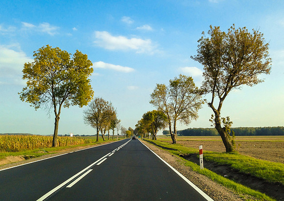 on the road to Łomza, my grandparents birthplace