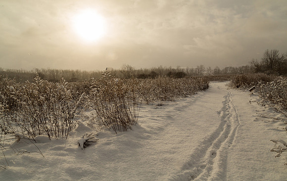 Winter Light 2