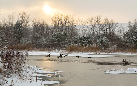 Winter Flight