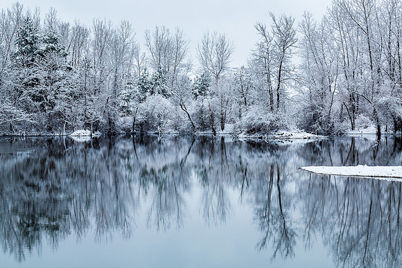 Winter Pond