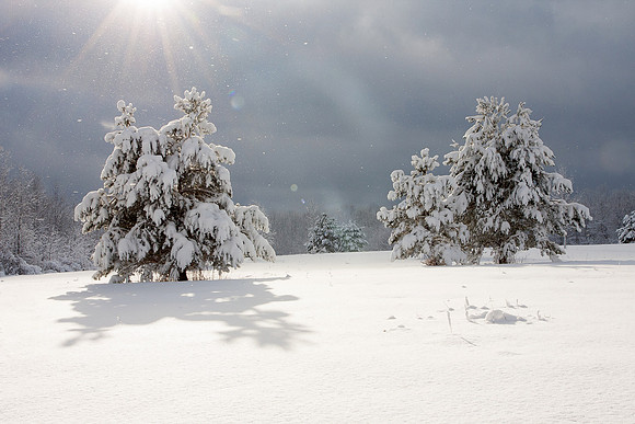 Winter Light 1 - Sherwood Park, Penfield