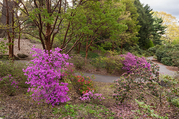 Highland Park