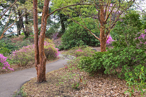Highland Park