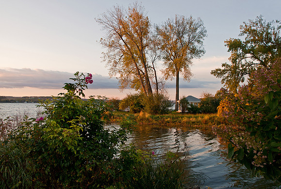 Vitale Park Conesus Lake
