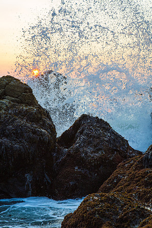 We dream in colors borrowed from the sea.