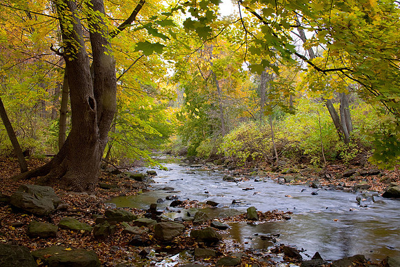 Corbett's Glen Fall