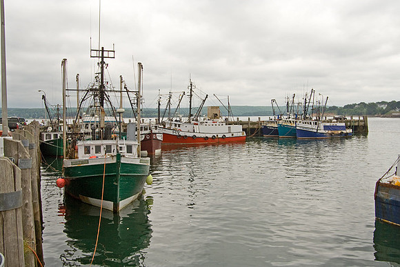 Digby Scallop boats