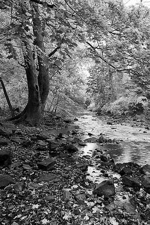 "Corbetts Glen" selected for SOAG Exhibit 2014