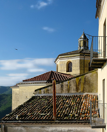 roof and dome of the catherdral