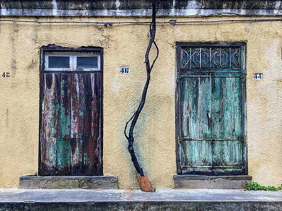 cool old doors!