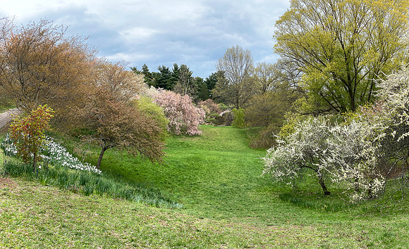 Highland Park, Rochester