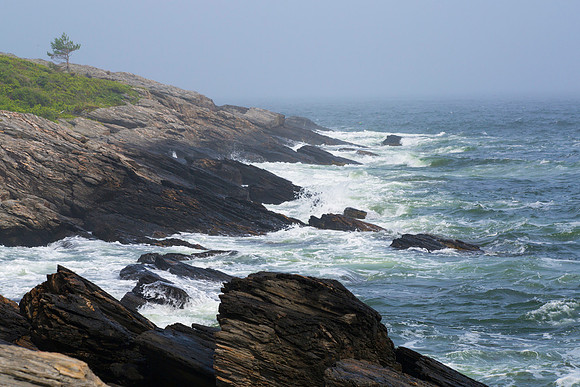 “Art flourishes where there is a sense of adventure.” ~ Alfred North Whitehead
