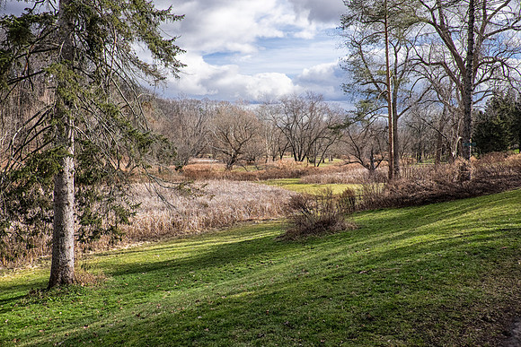 Ellison Park
