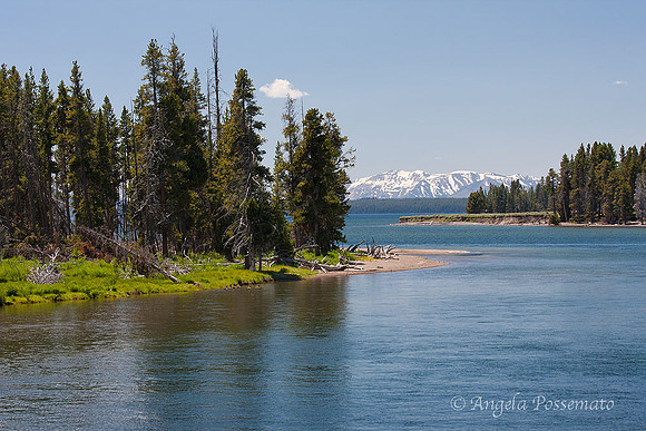 View from Fishing Bridge