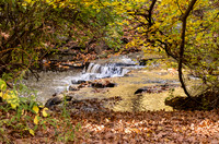 DSCF8905